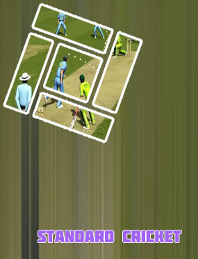 Cricket game rules