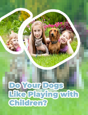 Dogs playing with kids