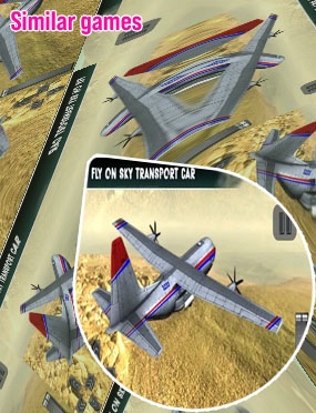 Plane sim