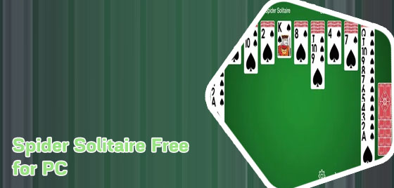 Spider card game for pc